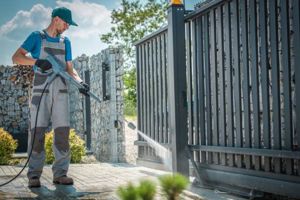 Best House Exterior Washing  in Almont, MI